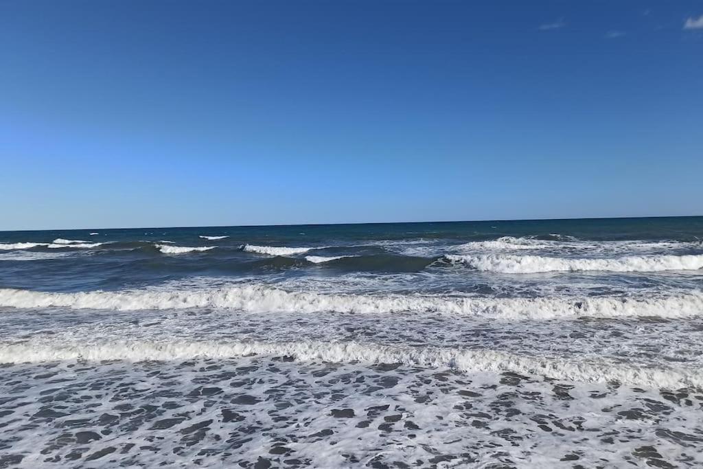 Piso En Playa De Gandia! Daire Dış mekan fotoğraf